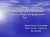 Организационная структура Вооруженных Сил Российской Федерации. Виды вооруженных РФ