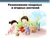 Размножение плодовых и ягодных растений