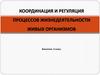 Координация и регуляция процессов жизнедеятельности живых организмов