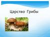 Царство Грибы