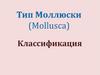 Классификация моллюсков