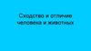 Сходство и отличие человека и животных