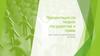 Презентация по теории государства и права