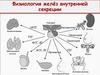 Физиология желёз внутренней секреции