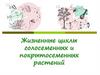 Жизненные циклы семенных растений