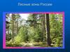 Лесные зоны России. Карта природных зон России