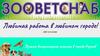 Лучшая ветеринарная клиника в городе Реутов. Зооветснаб