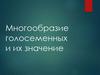 Многообразие голосеменных и их значение