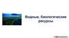 Водные, биологические ресурсы