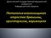 Грыжи брюшной стенки. Водянка, крипторхизм, варикоцеле