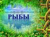 Рыбы
