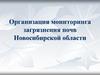 Организация мониторинга загрязнения почв Новосибирской области