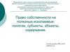 Право собственности на полезные ископаемые: понятие, субъекты, объекты, содержание
