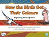How the birds got their colours
