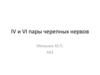 IV и VI пары черепных нервов