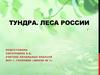 Тундра. Леса России