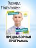Предвыборная программа