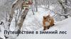 Путешествие в зимний лес