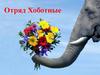 Отряд хоботные