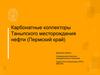Карбонатные коллекторы Таныпского месторождения нефти (Пермский край)