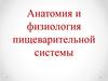 Анатомия и физиология пищеварительной системы