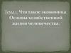 Что такое экономика. Основы хозяйственной жизни человечества. Тема 1