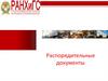 Распорядительные документы