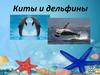 Киты и дельфины