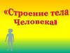 Строение тела человека