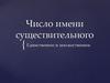 Число имён существительных { Единственное и множественное