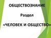 Человек и общество. Общество как сложная динамическая система