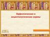 Орфоэпические и акцентологические нормы