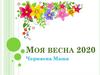 Моя весна 2020