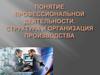 Профессиональная деятельность