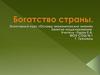 Богатство страны