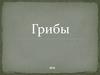 Грибы