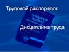 Трудовой кодекс. Дисциплина труда