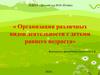 Организация различных видов деятельности с детьми раннего возраста