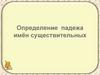 Определение падежа имён существительных