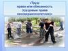 Труд: право или обязанность. Трудовые права несовершеннолетних