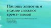 Помощь животным в самое сложное время- зимой