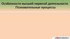 Особенности высшей нервной деятельности. Познавательные процессы