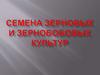 Семена зерновых и зернобобовых культур