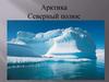Арктика. Северный полюс