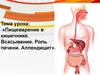 Пищеварение в кишечнике. Всасывание. Роль печени. Аппендицит