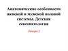 Анатомические особенности женской и мужской половой системы. Детская сексопатология