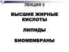 Высшие жирные кислоты липиды биомембраны. Лекция 3