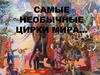 Самые необычные цирки