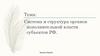 Система и структура органов исполнительной власти субъектов РФ