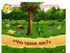 Что такое лес